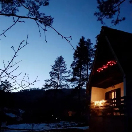 Pine Oasis *