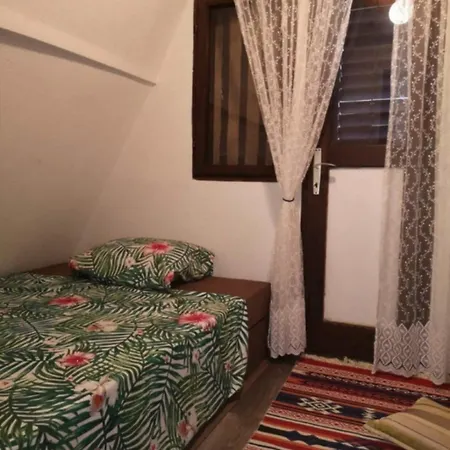 Pine Oasis Holiday home
