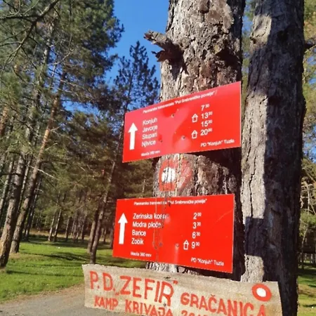 Pine Oasis Holiday home Zavidovici