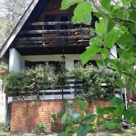 Pine Oasis Holiday home