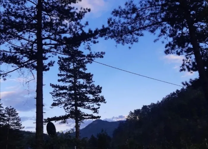 Nyaraló Pine Oasis Zavidovici