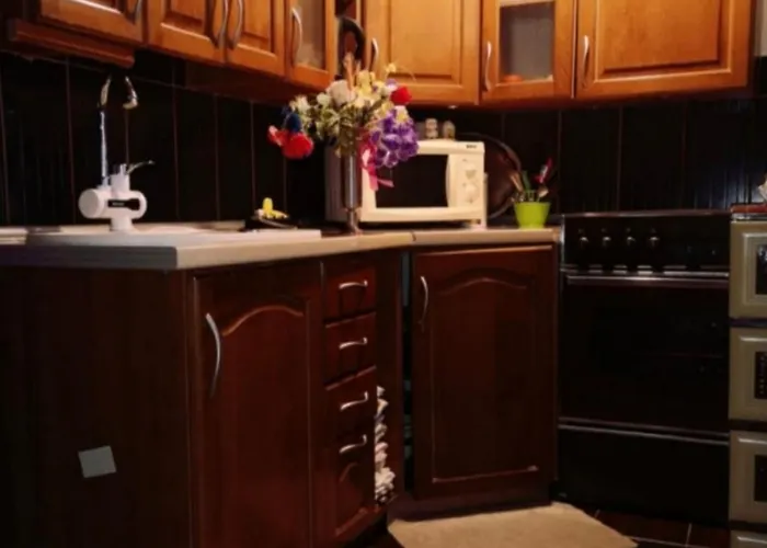 Pine Oasis * Zavidovici